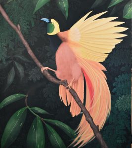 Bird of Paradise